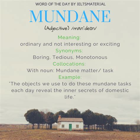 mundane as a noun.